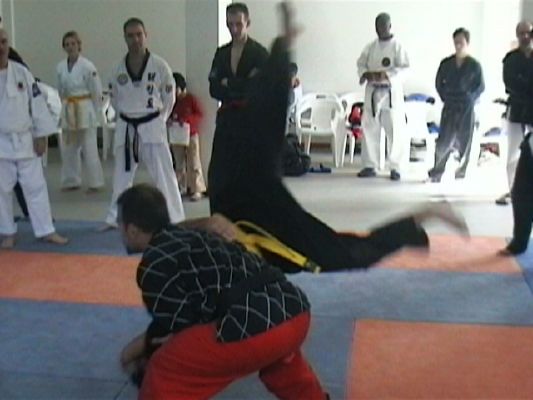 Seminar - Self Defense - Joint Throw 